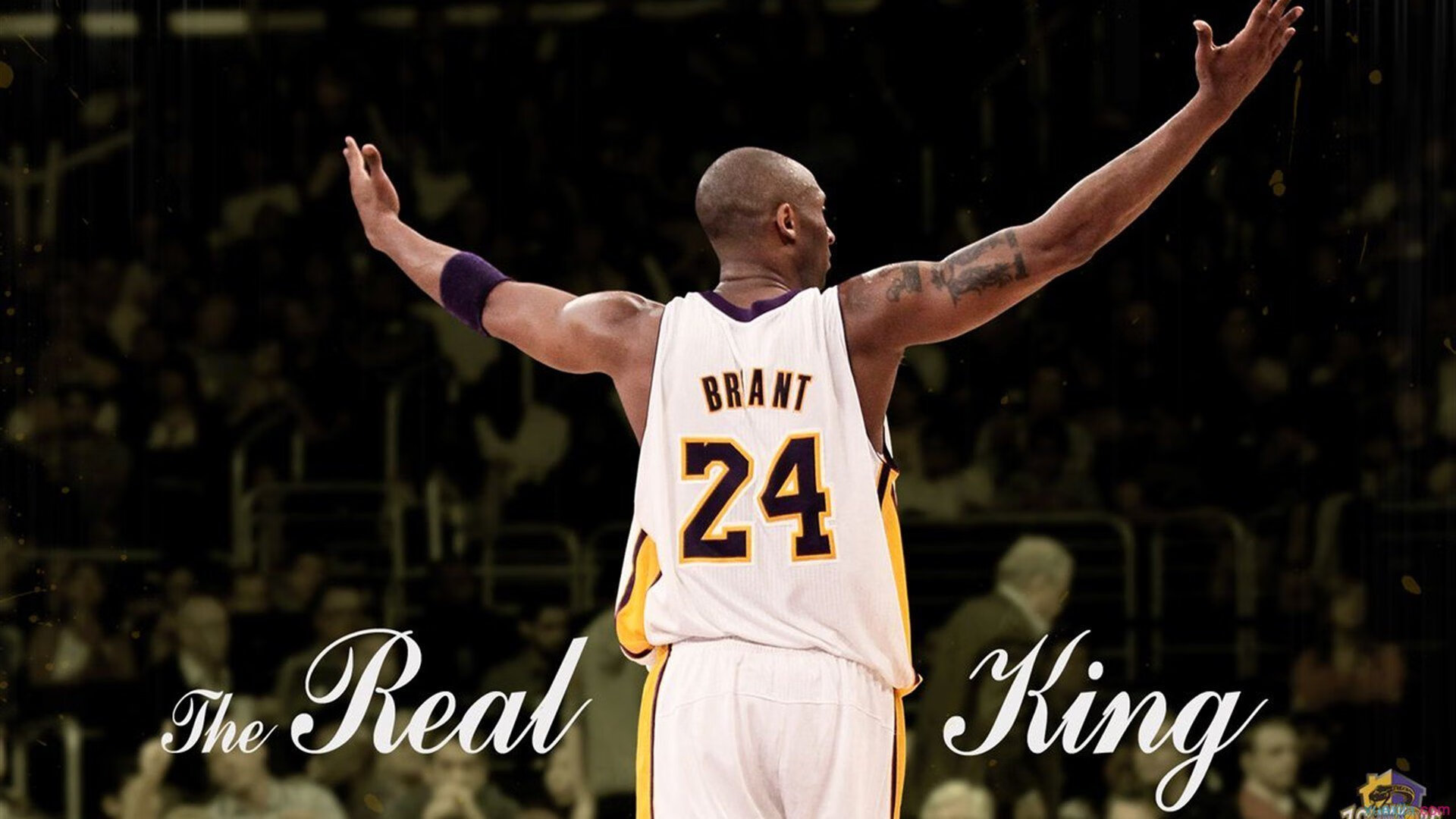 开云体育app-莫兰特封神之夜，年度焦点战，他如何逆袭证明？